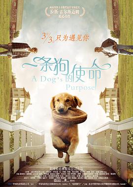 路由器管理网址
